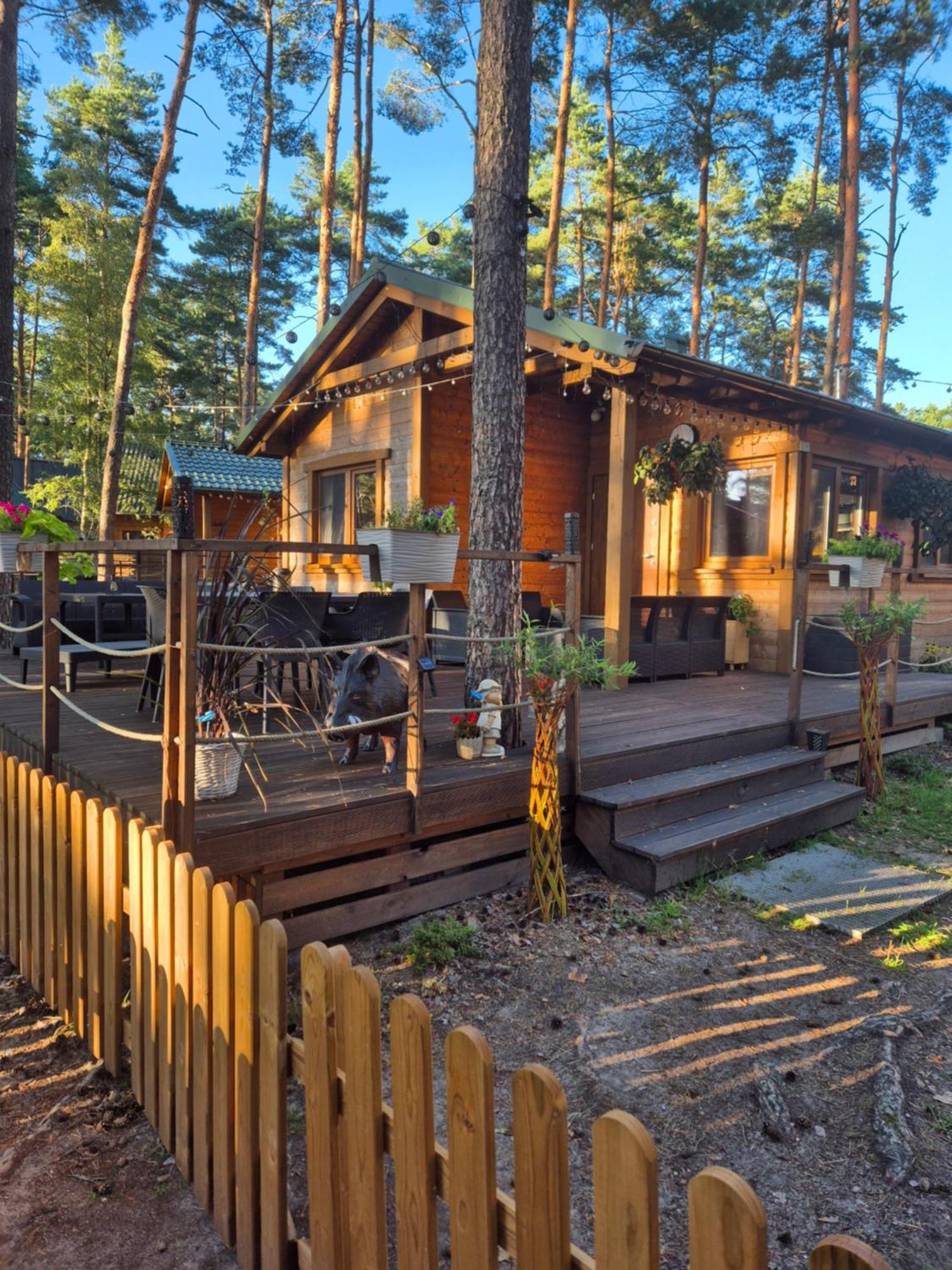 Dzik W Zagrodzie Hotel Borsk Exterior foto