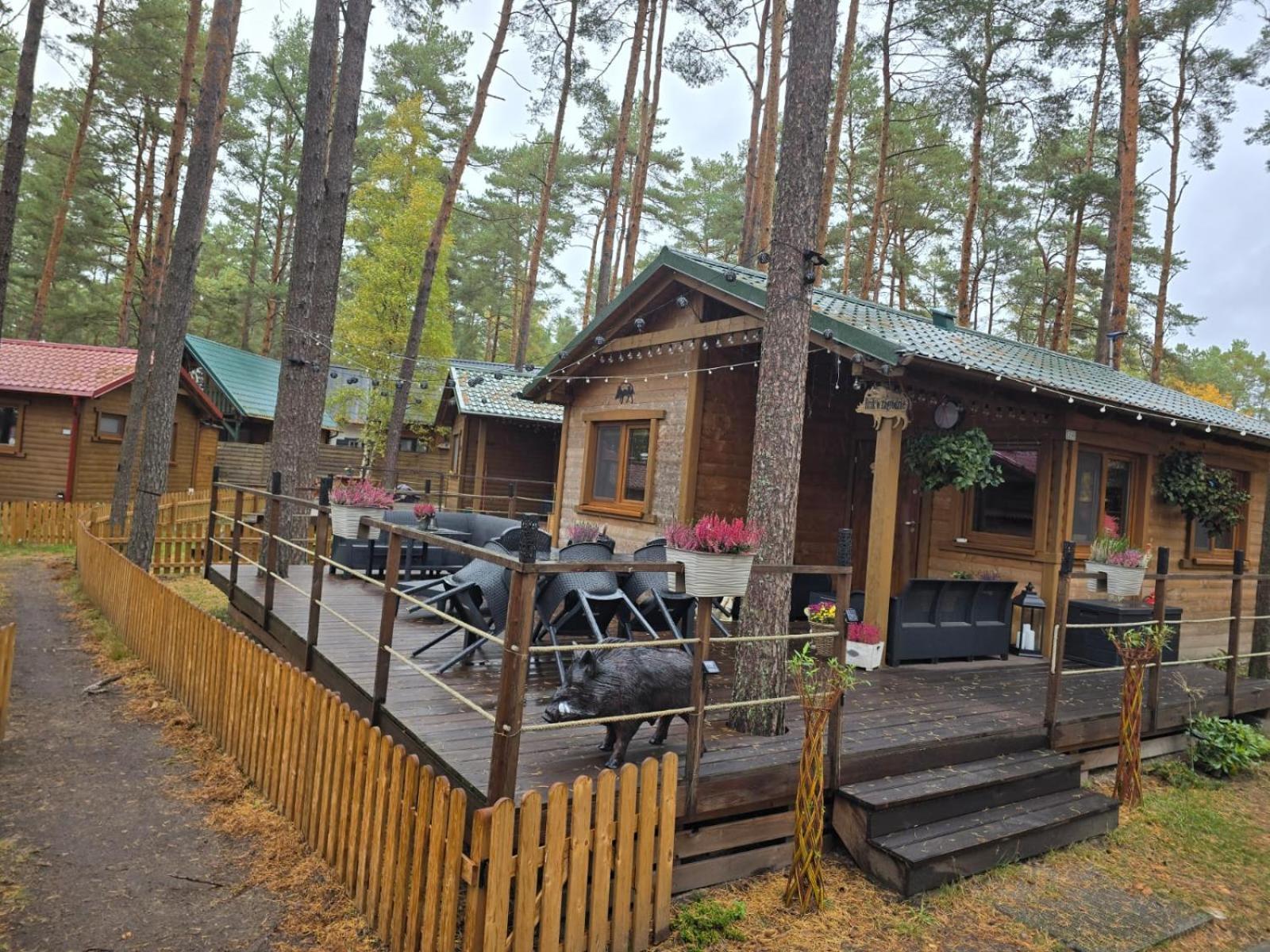 Dzik W Zagrodzie Hotel Borsk Exterior foto
