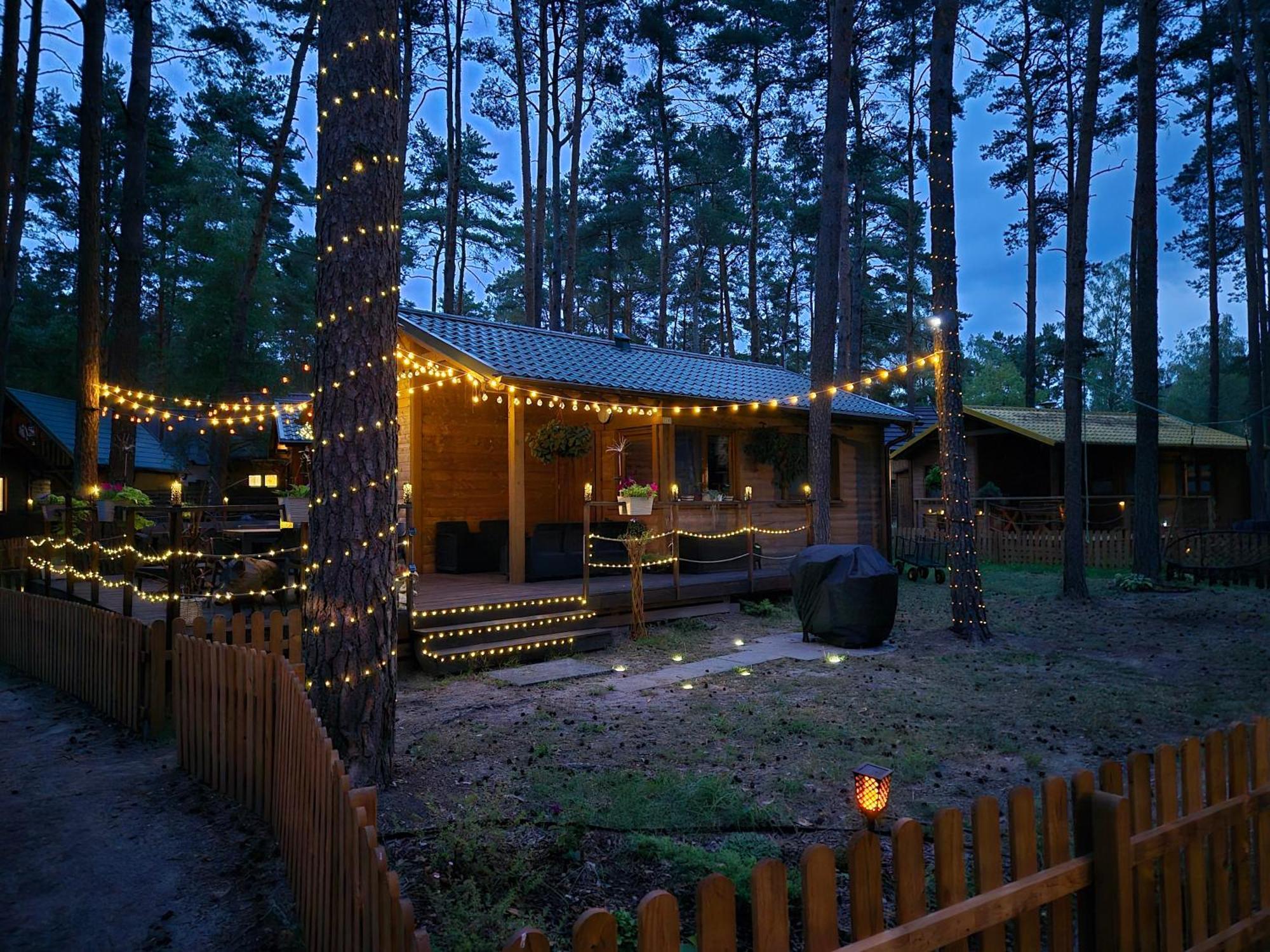 Dzik W Zagrodzie Hotel Borsk Exterior foto