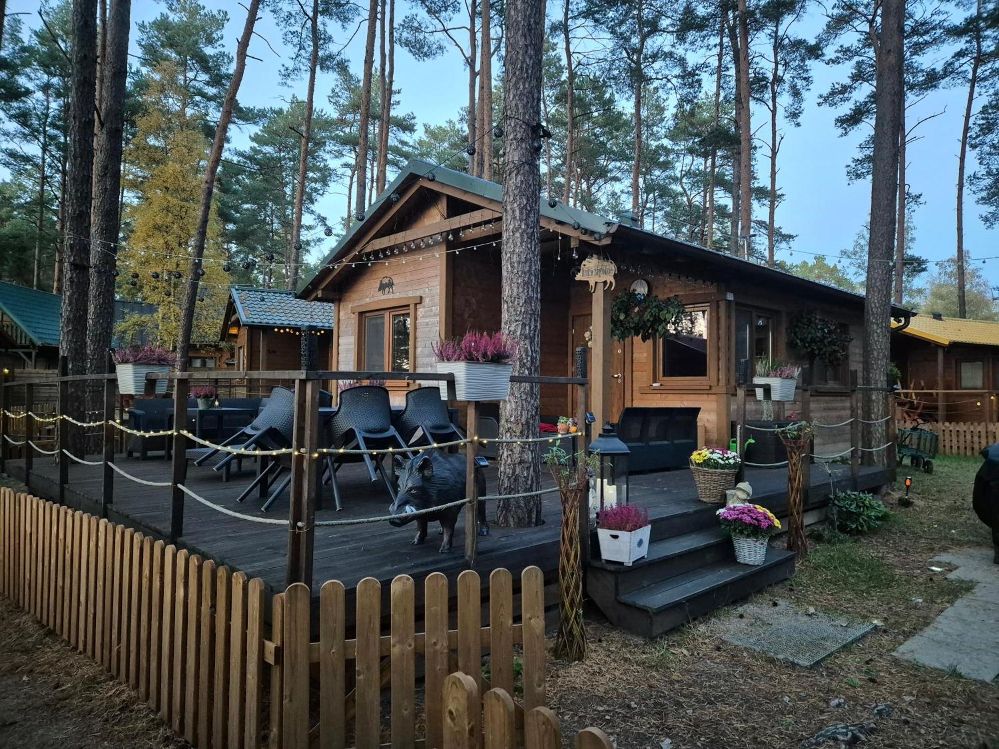 Dzik W Zagrodzie Hotel Borsk Exterior foto